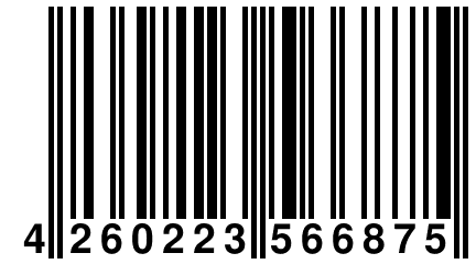 4 260223 566875