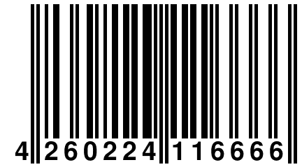 4 260224 116666