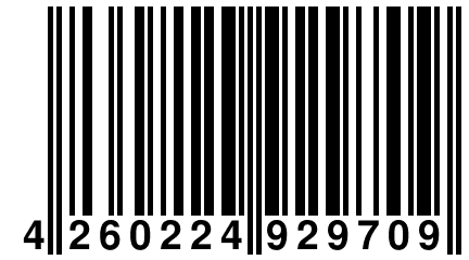 4 260224 929709