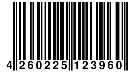 4 260225 123960