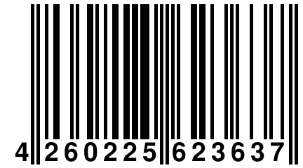 4 260225 623637