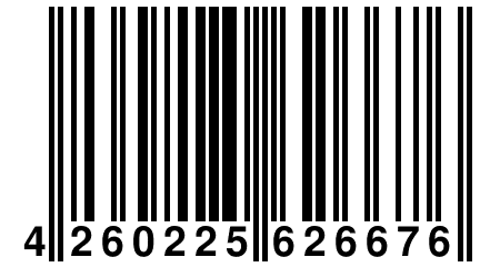 4 260225 626676