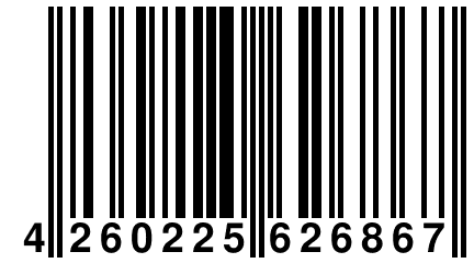 4 260225 626867