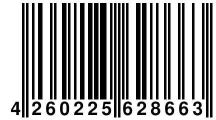 4 260225 628663