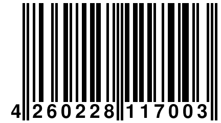 4 260228 117003