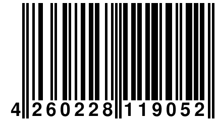 4 260228 119052