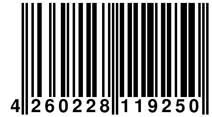 4 260228 119250