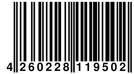 4 260228 119502