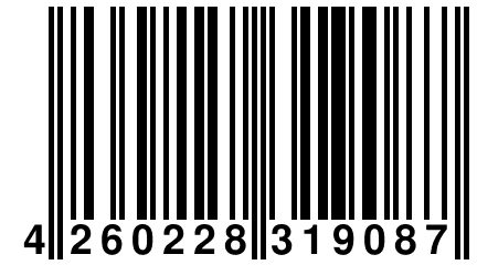 4 260228 319087