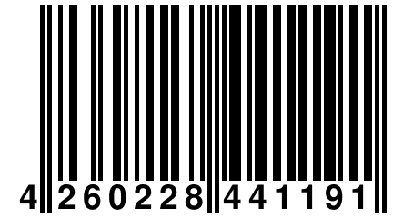 4 260228 441191