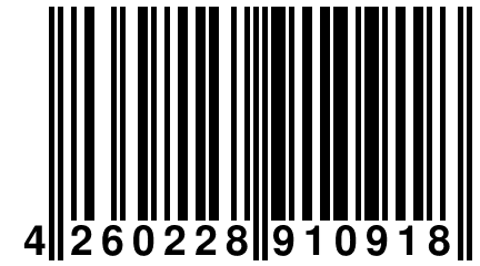 4 260228 910918