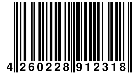 4 260228 912318