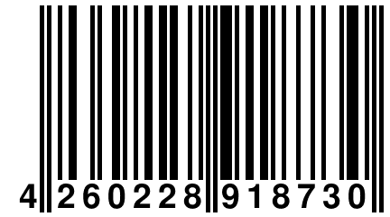 4 260228 918730