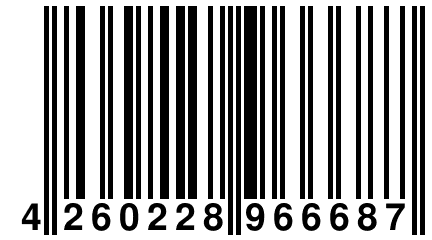 4 260228 966687