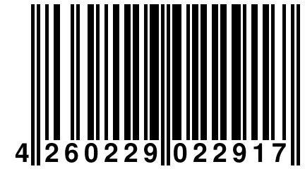 4 260229 022917