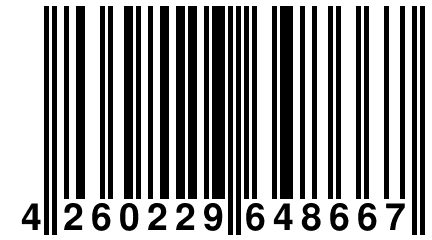 4 260229 648667