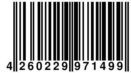 4 260229 971499