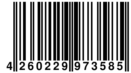 4 260229 973585