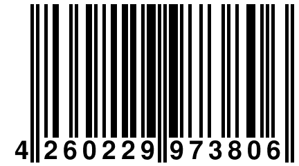 4 260229 973806