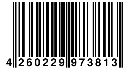 4 260229 973813