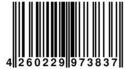 4 260229 973837