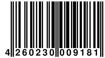 4 260230 009181