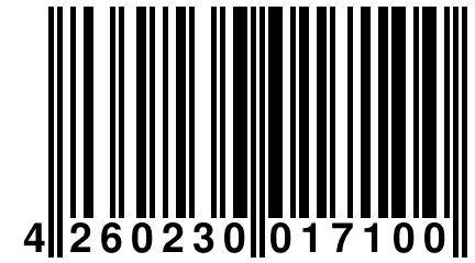 4 260230 017100