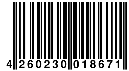 4 260230 018671