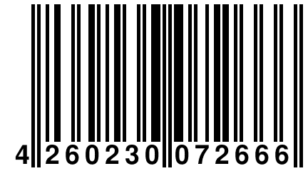 4 260230 072666