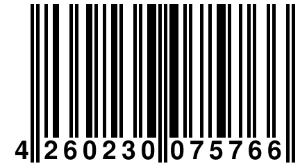 4 260230 075766