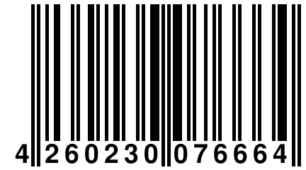 4 260230 076664