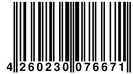 4 260230 076671