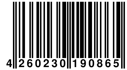 4 260230 190865