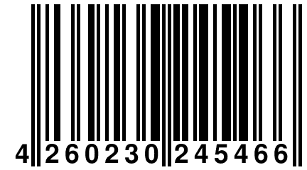 4 260230 245466