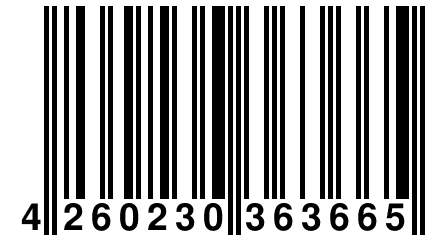 4 260230 363665