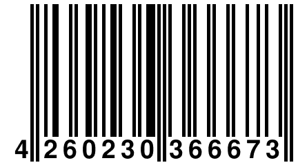 4 260230 366673