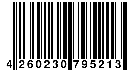 4 260230 795213