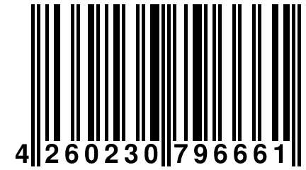 4 260230 796661