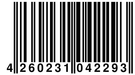 4 260231 042293