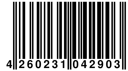 4 260231 042903