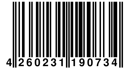 4 260231 190734