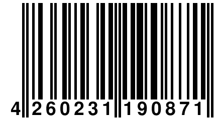 4 260231 190871