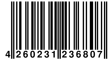 4 260231 236807