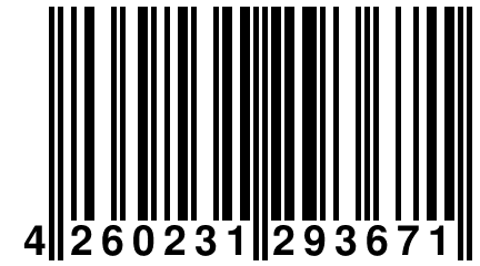 4 260231 293671