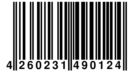 4 260231 490124