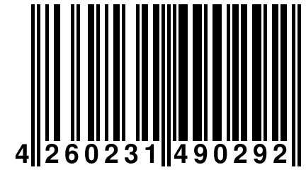 4 260231 490292