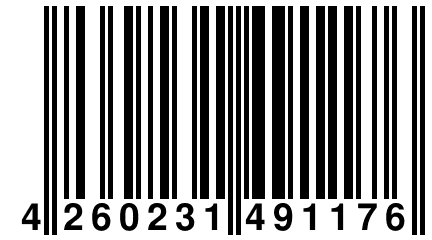 4 260231 491176