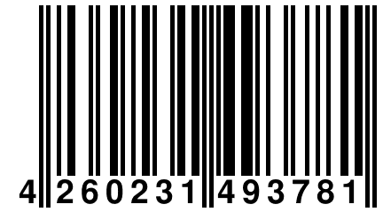 4 260231 493781