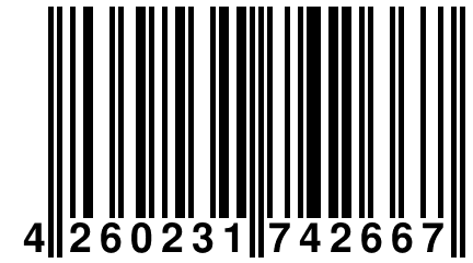 4 260231 742667