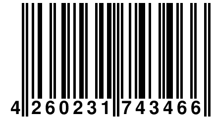 4 260231 743466